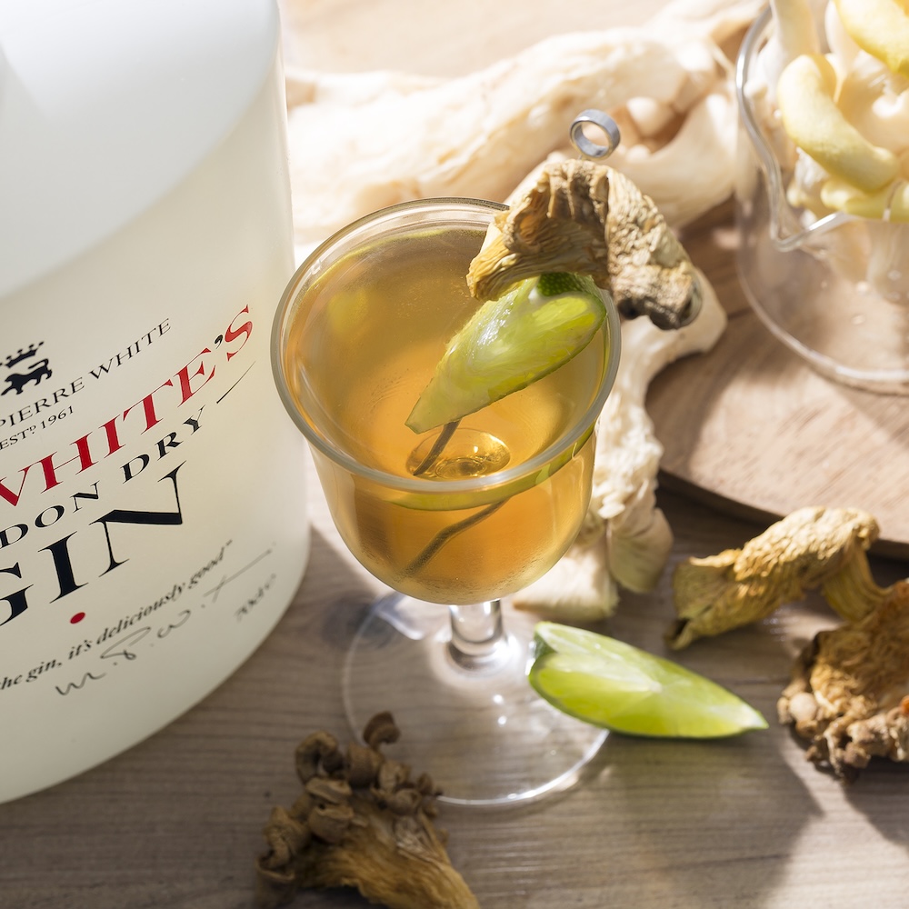Mushroom inspired savoury season cocktail featuring Mr Whites Gin